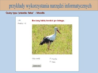 przykłady wykorzystania narzędzi informatycznych Quizy typu ‘prawda- fałsz’  - Moodle 
