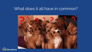 What does it all have in common?
 