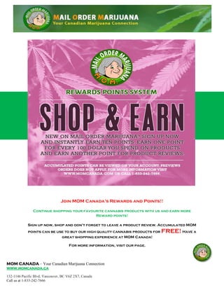 MOM CANADA – Your Canadian Marijuana Connection
www.momcanada.ca
132-1146 Pacific Blvd, Vancouver, BC V6Z 2X7, Canada
Call us at 1-833-242-7666
Join MOM Canada's Rewards and Points!!
Continue shopping your favourite cannabis products with us and earn more
Reward points!
Sign up now, shop and don't forget to leave a product review. Accumulated MOM
points can be use to buy our high quality cannabis products for FREE! Have a
great shopping experience at MOM Canada!
For more information, visit our page.
 