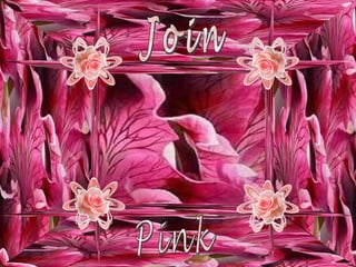 Join Pink 