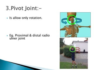 Distal Rotation ppt on Joint | PPTX