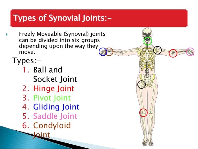ppt on Joint