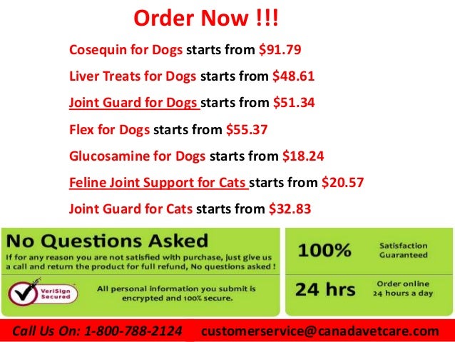 joint guard for cats