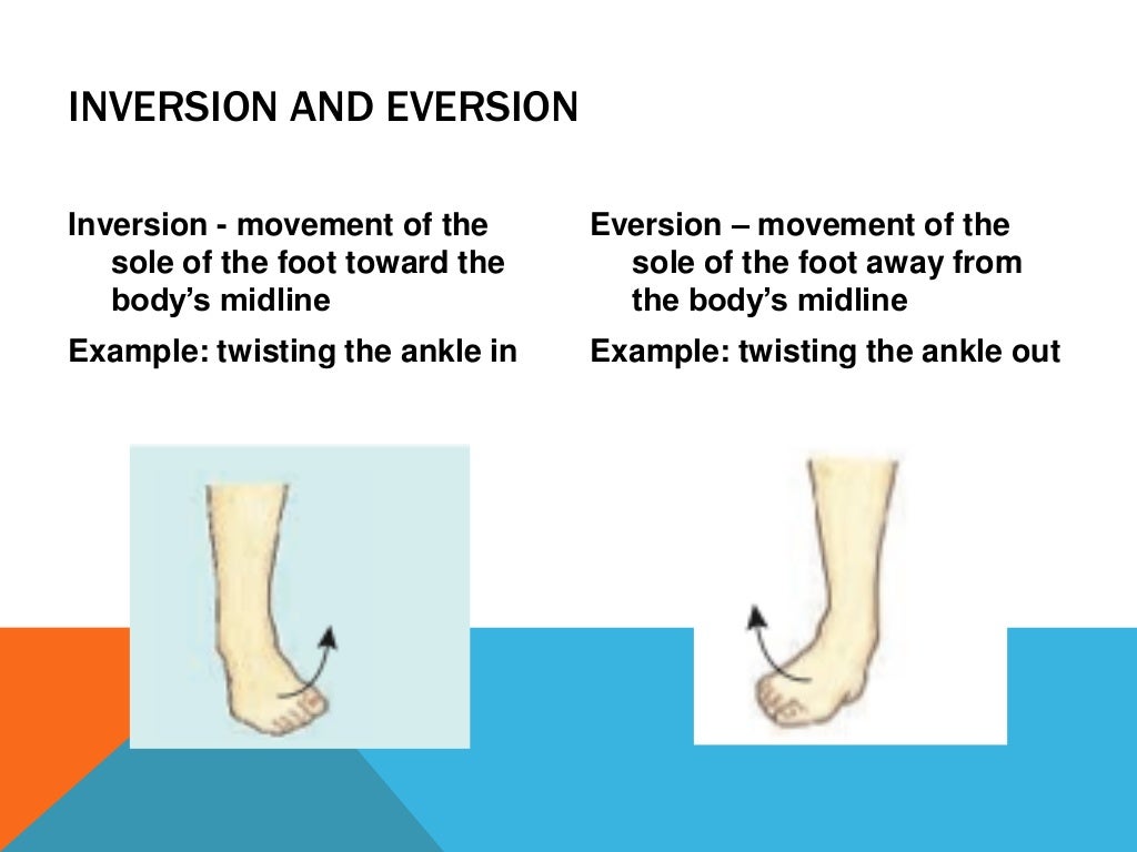 Joint actions and movement