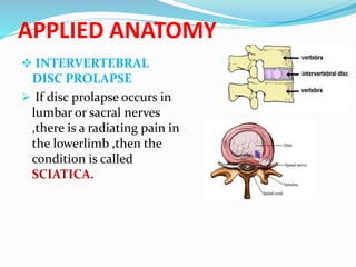 Disc Prolapse Classification Joints anatomy and physiology | PPTX