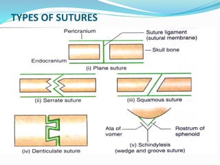 Joints anatomy and physiology | PPTX