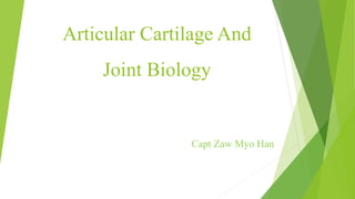 Articular Cartilage And
Joint Biology
Capt Zaw Myo Han
 