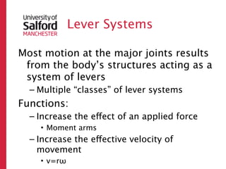 Lever Systems

Most motion at the major joints results
 from the body’s structures acting as a
 system of levers
  – Multiple “classes” of lever systems
Functions:
  – Increase the effect of an applied force
    • Moment arms
  – Increase the effective velocity of
    movement
    • v=rω
 