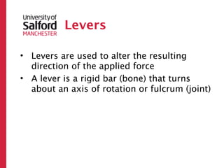 Levers

• Levers are used to alter the resulting
  direction of the applied force
• A lever is a rigid bar (bone) that turns
  about an axis of rotation or fulcrum (joint)
 