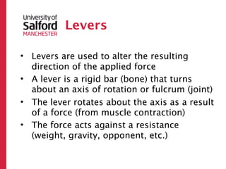 Levers

• Levers are used to alter the resulting
  direction of the applied force
• A lever is a rigid bar (bone) that turns
  about an axis of rotation or fulcrum (joint)
• The lever rotates about the axis as a result
  of a force (from muscle contraction)
• The force acts against a resistance
  (weight, gravity, opponent, etc.)
 