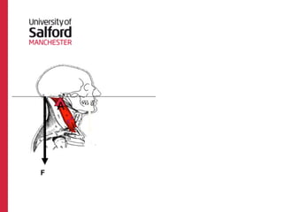 First Class
     A


         R



 F
 