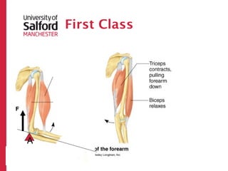 First Class




F




    A
         R
 