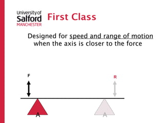 First Class
Designed for speed and range of motion
 when the axis is closer to the force



F                         R




    A                 A
 