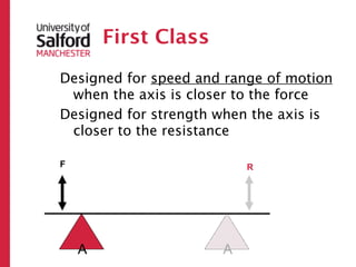 First Class
Designed for speed and range of motion
 when the axis is closer to the force
Designed for strength when the axis is
 closer to the resistance

F                         R




    A                 A
 