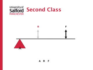 Second Class


       R           F




A


        A
 R
 F
 