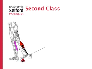 Second Class




R


         F

    A
 