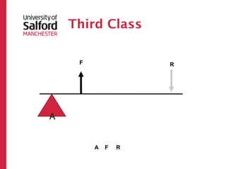 Third Class

     F               R




A


         A
 F
   R
 