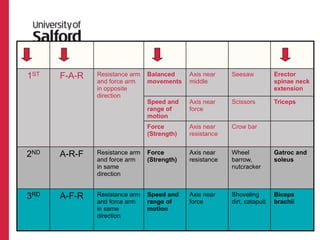 FUNCTIONAL   RELATIONSHIP     PRACTICAL         HUMAN
CLASS   ARRANGEMENT    ARM MOVEMENT       DESIGN        TO AXIS        EXAMPLE         EXAMPLE

1ST      F-A-R        Resistance arm   Balanced      Axis near      Seesaw           Erector
                      and force arm    movements     middle                          spinae neck
                      in opposite                                                    extension
                      direction
                                       Speed and     Axis near      Scissors         Triceps
                                       range of      force
                                       motion
                                       Force         Axis near      Crow bar
                                       (Strength)    resistance


2ND      A-R-F        Resistance arm   Force         Axis near      Wheel            Gatroc and
                      and force arm    (Strength)    resistance     barrow,          soleus
                      in same                                       nutcracker
                      direction


3RD      A-F-R        Resistance arm   Speed and     Axis near      Shoveling        Biceps
                      and force arm    range of      force          dirt, catapult   brachii
                      in same          motion
                      direction
 