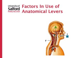 Factors In Use of
Anatomical Levers




         F
 