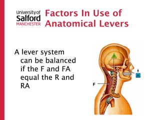 Factors In Use of
       Anatomical Levers


A lever system
 can be balanced
 if the F and FA
 equal the R and
 RA                F
 