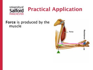 Practical Application

Force is produced by the
  muscle




                                    Resistance
                           Force
 