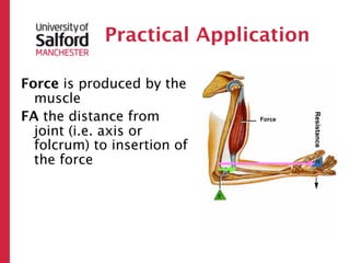 Practical Application

Force is produced by the
  muscle
FA the distance from




                                     Resistance
                             Force

  joint (i.e. axis or
  folcrum) to insertion of
  the force
 