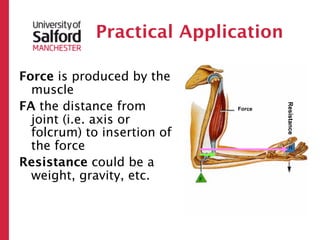 Practical Application

Force is produced by the
  muscle
FA the distance from




                                     Resistance
                             Force

  joint (i.e. axis or
  folcrum) to insertion of
  the force
Resistance could be a
  weight, gravity, etc.
 