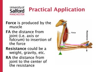 Practical Application

Force is produced by the
  muscle
FA the distance from




                                     Resistance
                             Force

  joint (i.e. axis or
  folcrum) to insertion of
  the force
Resistance could be a
  weight, gravity, etc.
RA the distance from
  joint to the center of
  the resistance
 