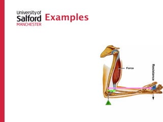 Examples




                   Resistance
           Force
 
