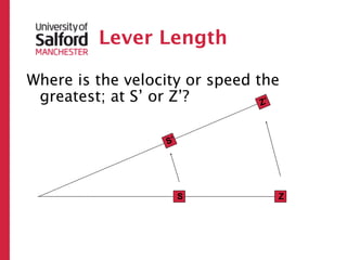 Lever Length

Where is the velocity or speed the
 greatest; at S’ or Z’?         Z’



                  S’




                       S         Z
 