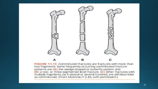 Comprehensive Overview of Joint, Connective Tissue, and Bone Disorders ...