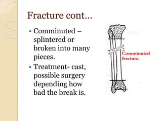 Fracture cont…
 Comminuted –
splintered or
broken into many
pieces.
 Treatment- cast,
possible surgery
depending how
bad the break is.
 