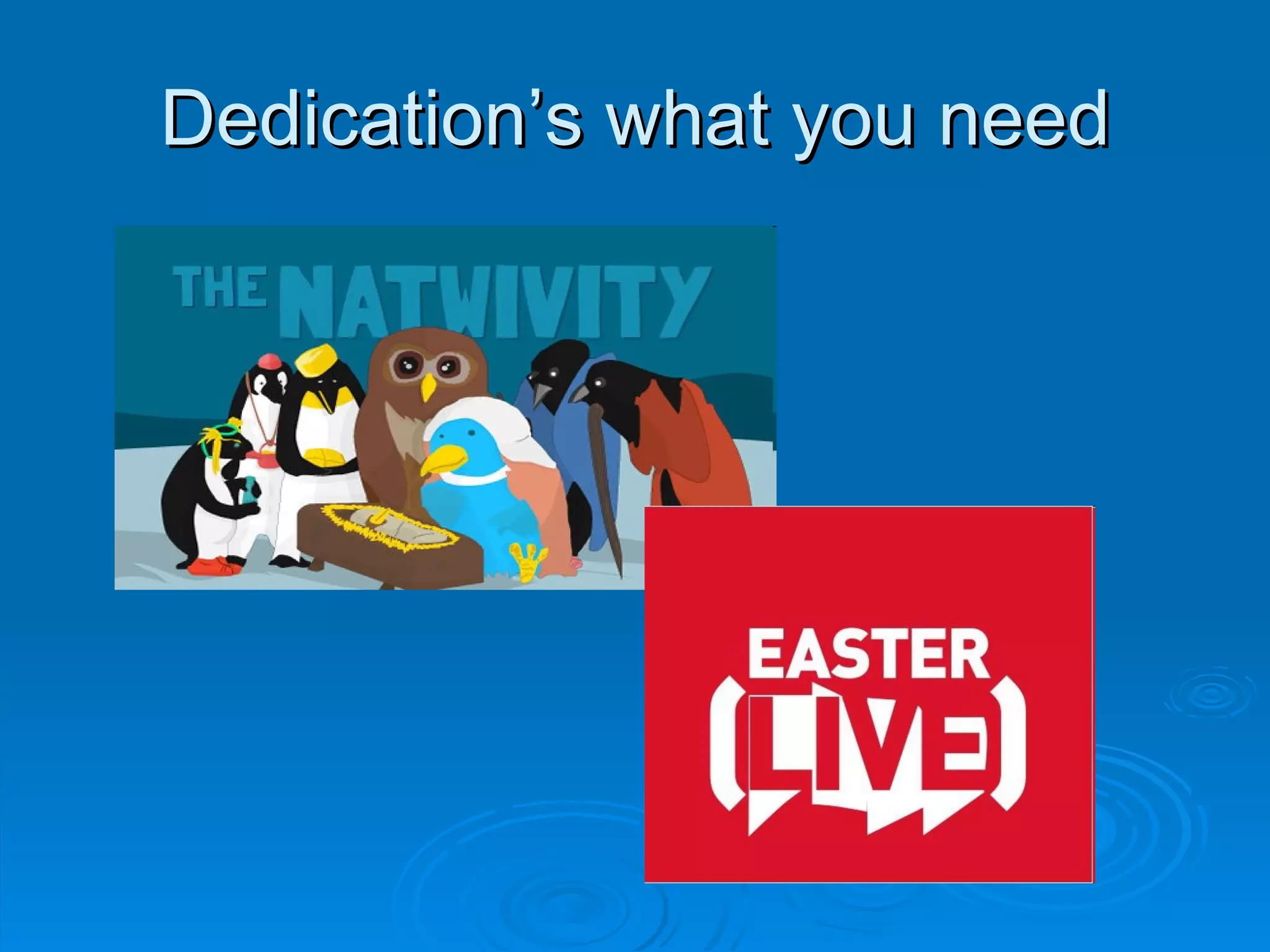 Dedication’s what you need 