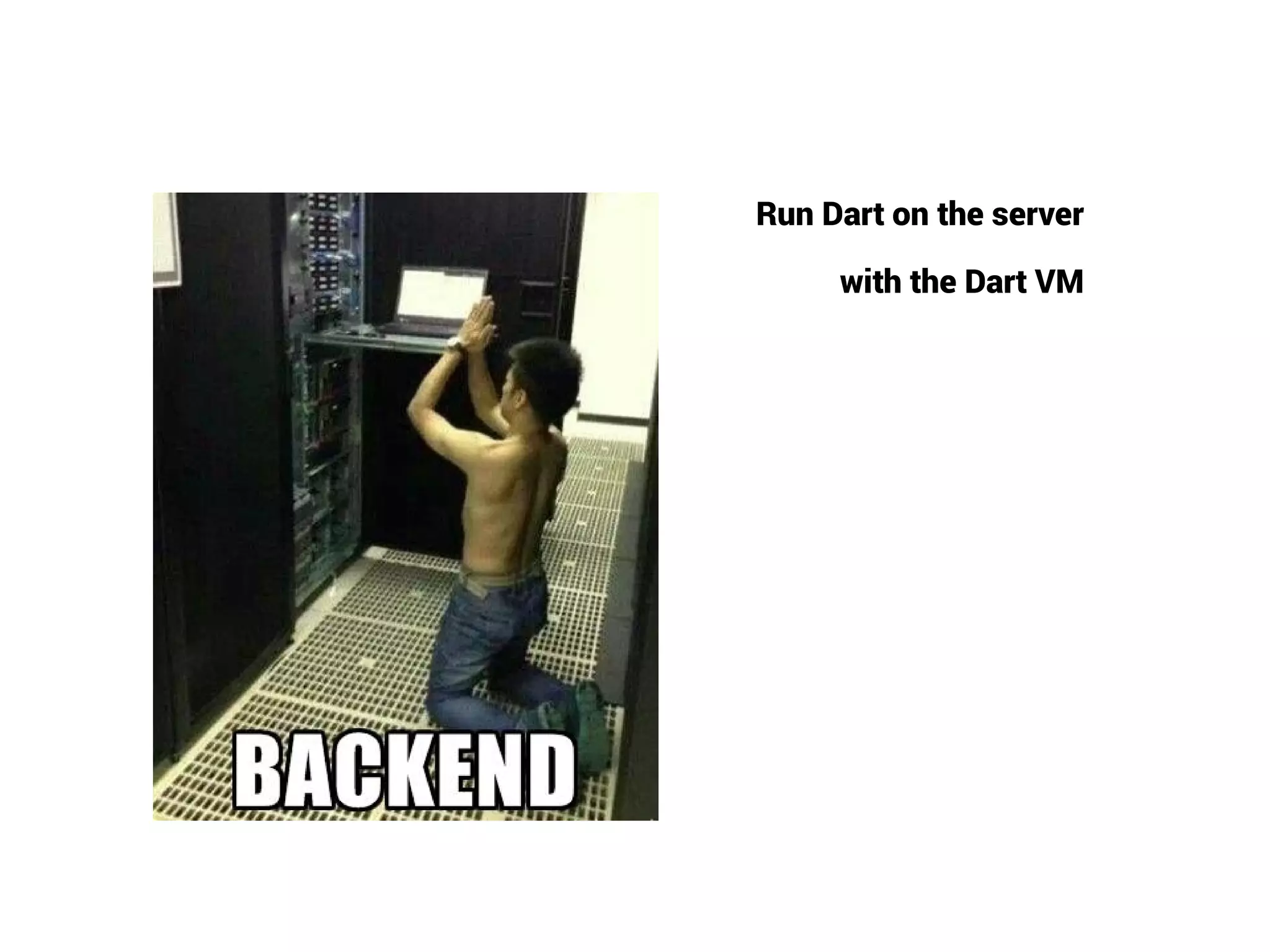 Run Dart on the server
with the Dart VM
 