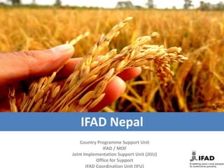 IFAD Nepal
    Country Programme Support Unit
               IFAD / MOF
Joint Implementation Support Unit (JISU)
            Office for Support
       IFAD Coordination Unit (IFU)
 