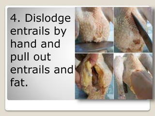 4. Dislodge
entrails by
hand and
pull out
entrails and
fat.
 