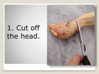 1. Cut off
the head.
 