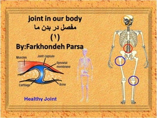 Joint in our body -1