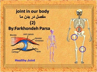 Joint in our body 2