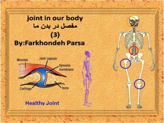 Joint in our body 3