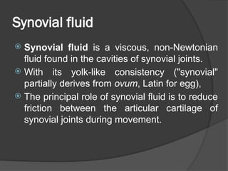 Comprehensive Overview of Joint Lubrication and Synovial Fluid ...