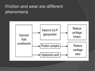 Comprehensive Overview of Joint Lubrication and Synovial Fluid ...