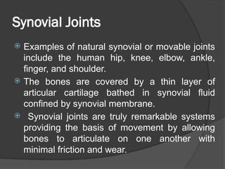 Comprehensive Overview of Joint Lubrication and Synovial Fluid ...