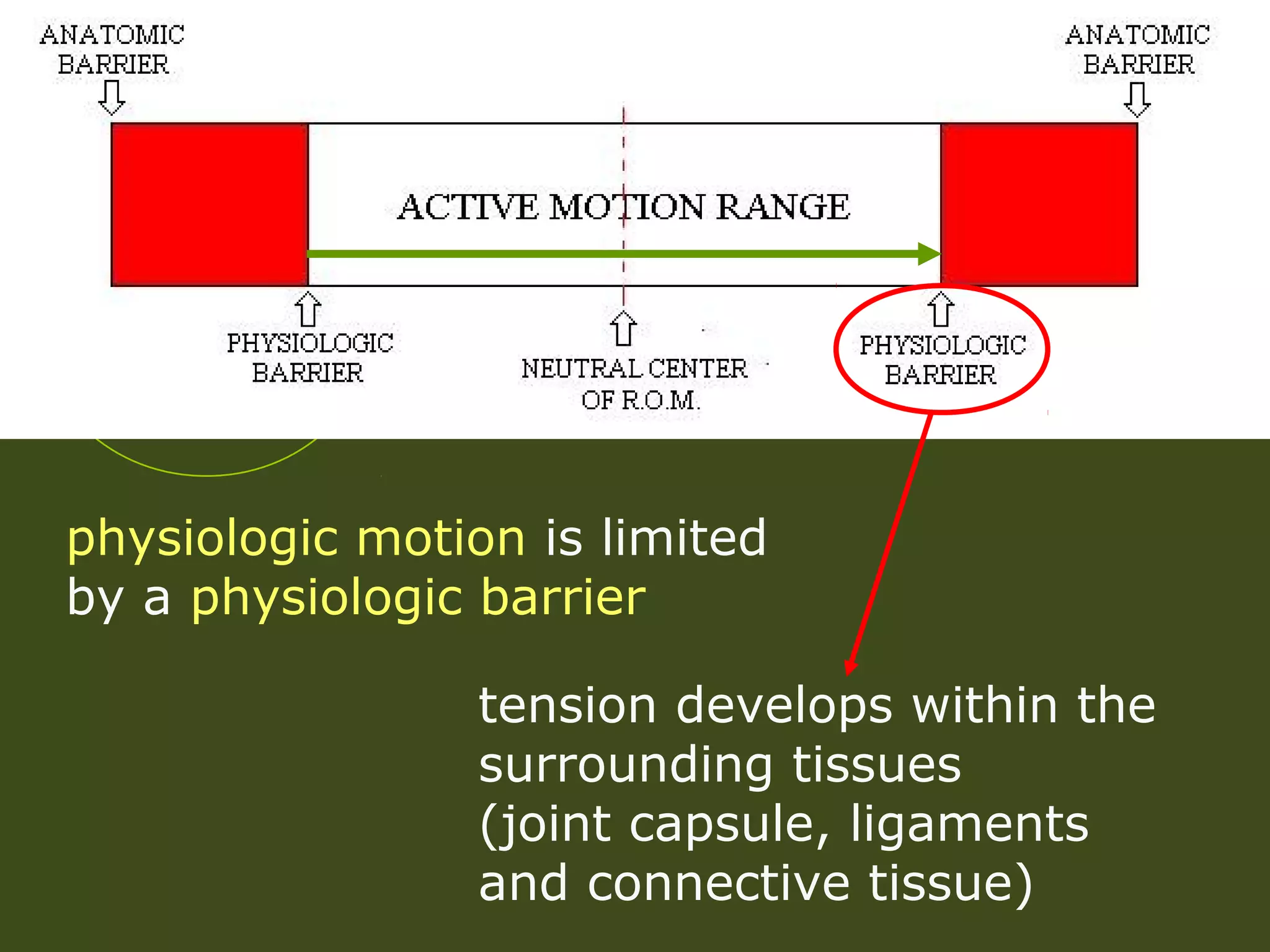 physiologic motion is limited
by a physiologic barrier
tension develops within the
surrounding tissues
(joint capsule, ligaments
and connective tissue)
 