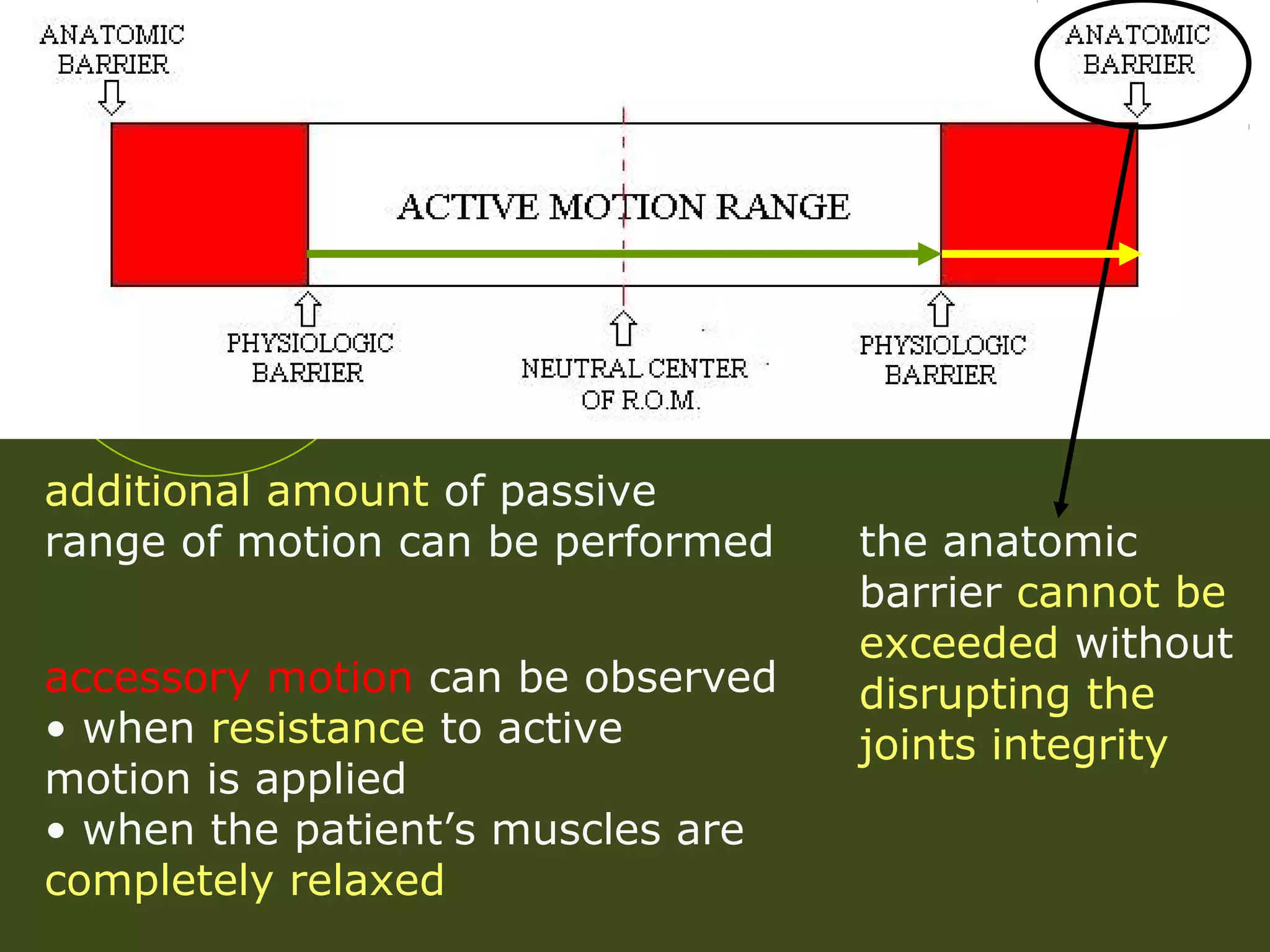 additional amount of passive
range of motion can be performed
accessory motion can be observed
• when resistance to active
motion is applied
• when the patient’s muscles are
completely relaxed
the anatomic
barrier cannot be
exceeded without
disrupting the
joints integrity
 