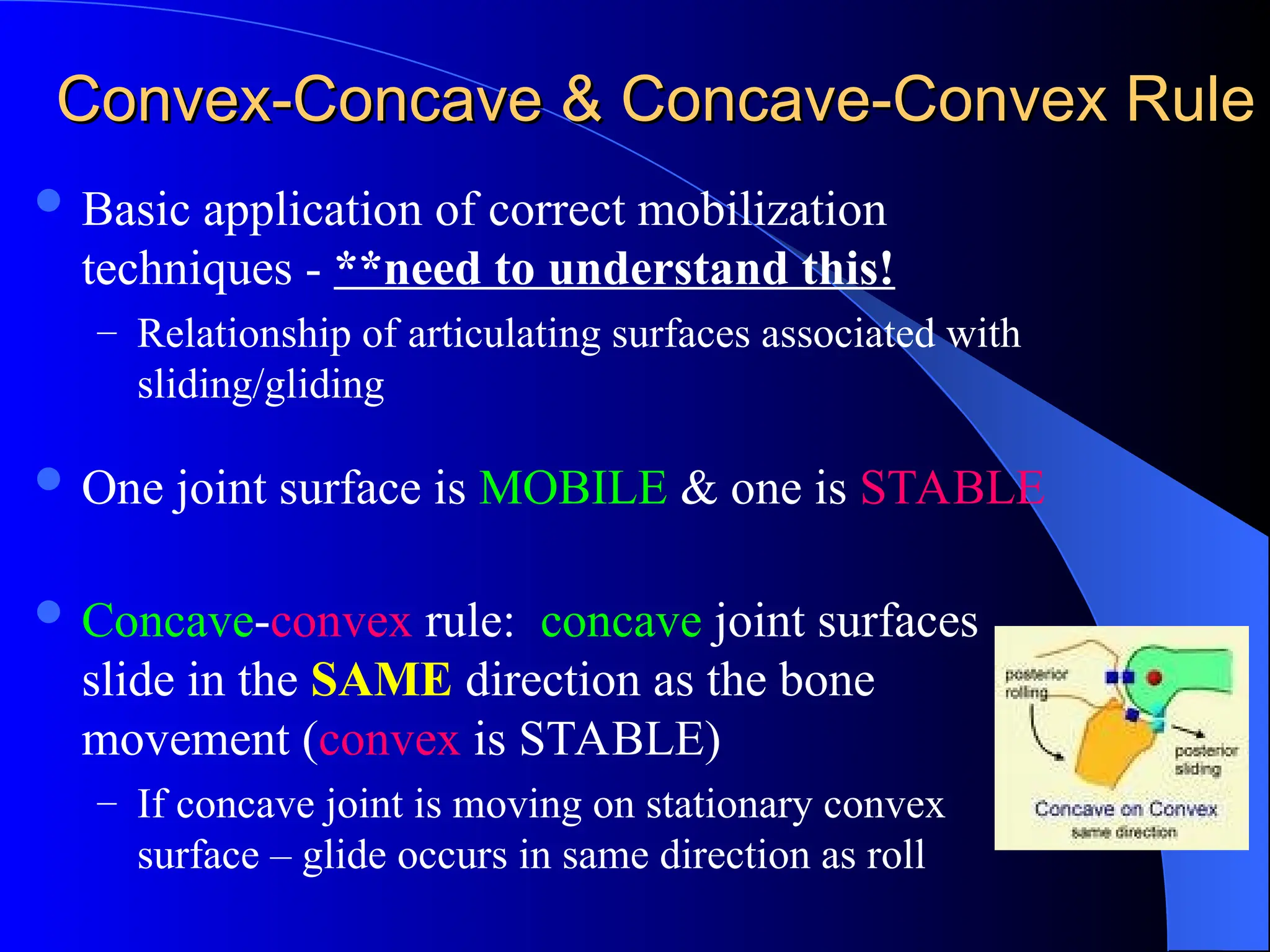 Convex-Concave & Concave-Convex Rule
Convex-Concave & Concave-Convex Rule
 Basic application of correct mobilization
techniques - **need to understand this!
– Relationship of articulating surfaces associated with
sliding/gliding
 One joint surface is MOBILE & one is STABLE
 Concave-convex rule: concave joint surfaces
slide in the SAME direction as the bone
movement (convex is STABLE)
– If concave joint is moving on stationary convex
surface – glide occurs in same direction as roll
 