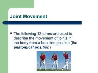 Joint Movement
 The following 12 terms are used to
describe the movement of joints in
the body from a baseline position (the
anatomical position)
 