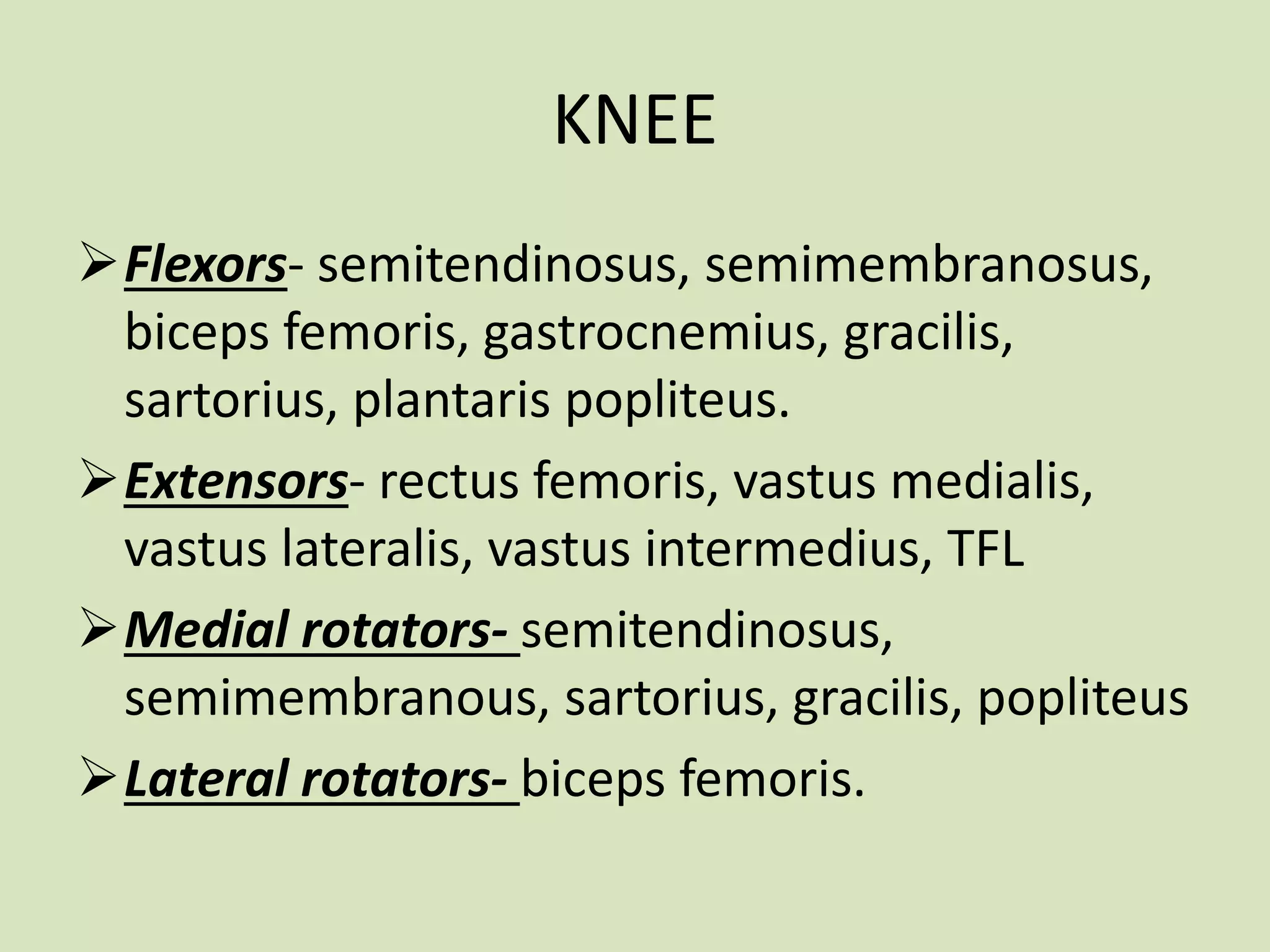KNEE
Flexors- semitendinosus, semimembranosus,
biceps femoris, gastrocnemius, gracilis,
sartorius, plantaris popliteus.
Extensors- rectus femoris, vastus medialis,
vastus lateralis, vastus intermedius, TFL
Medial rotators- semitendinosus,
semimembranous, sartorius, gracilis, popliteus
Lateral rotators- biceps femoris.
 