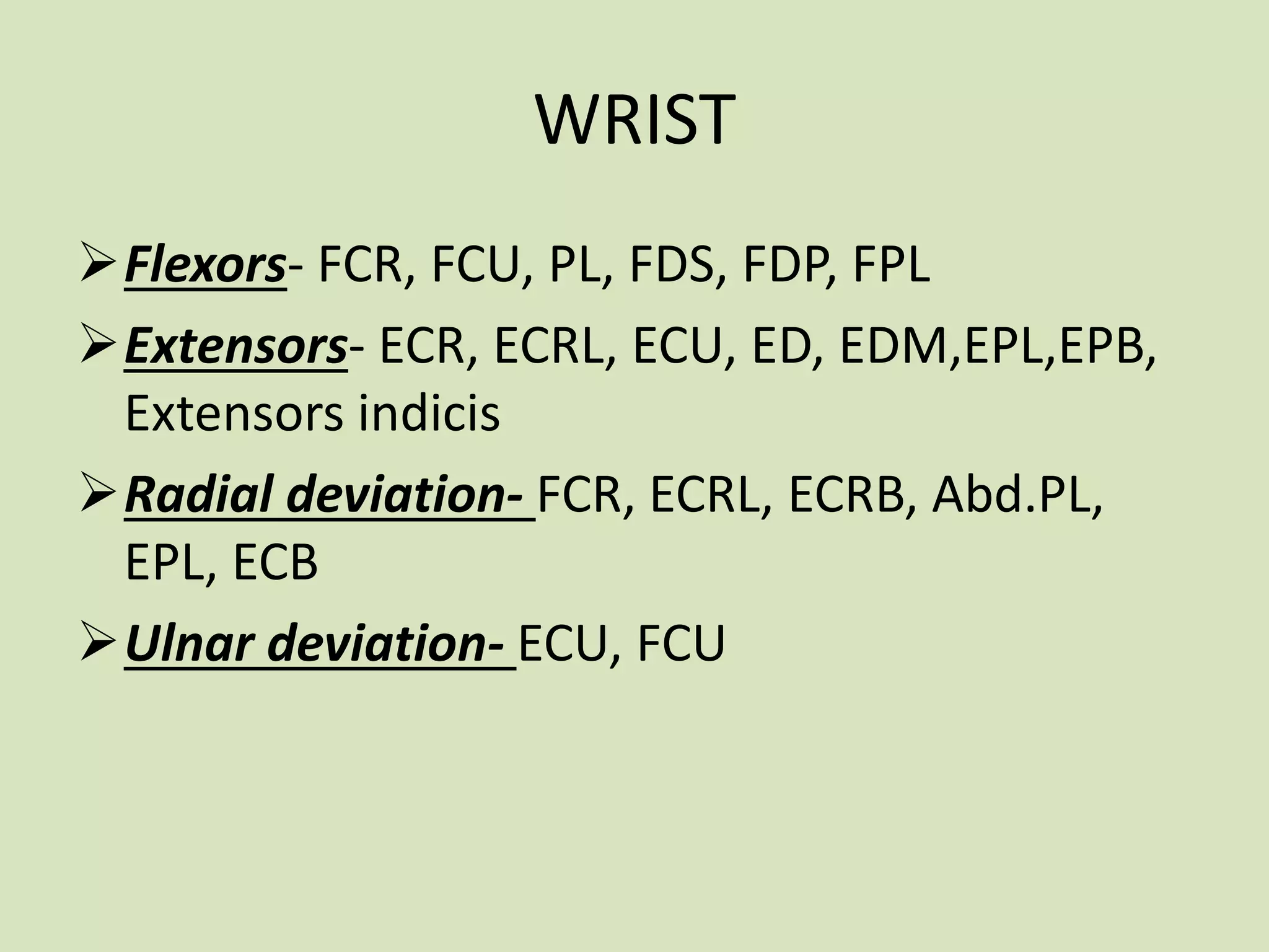 WRIST
Flexors- FCR, FCU, PL, FDS, FDP, FPL
Extensors- ECR, ECRL, ECU, ED, EDM,EPL,EPB,
Extensors indicis
Radial deviation- FCR, ECRL, ECRB, Abd.PL,
EPL, ECB
Ulnar deviation- ECU, FCU
 