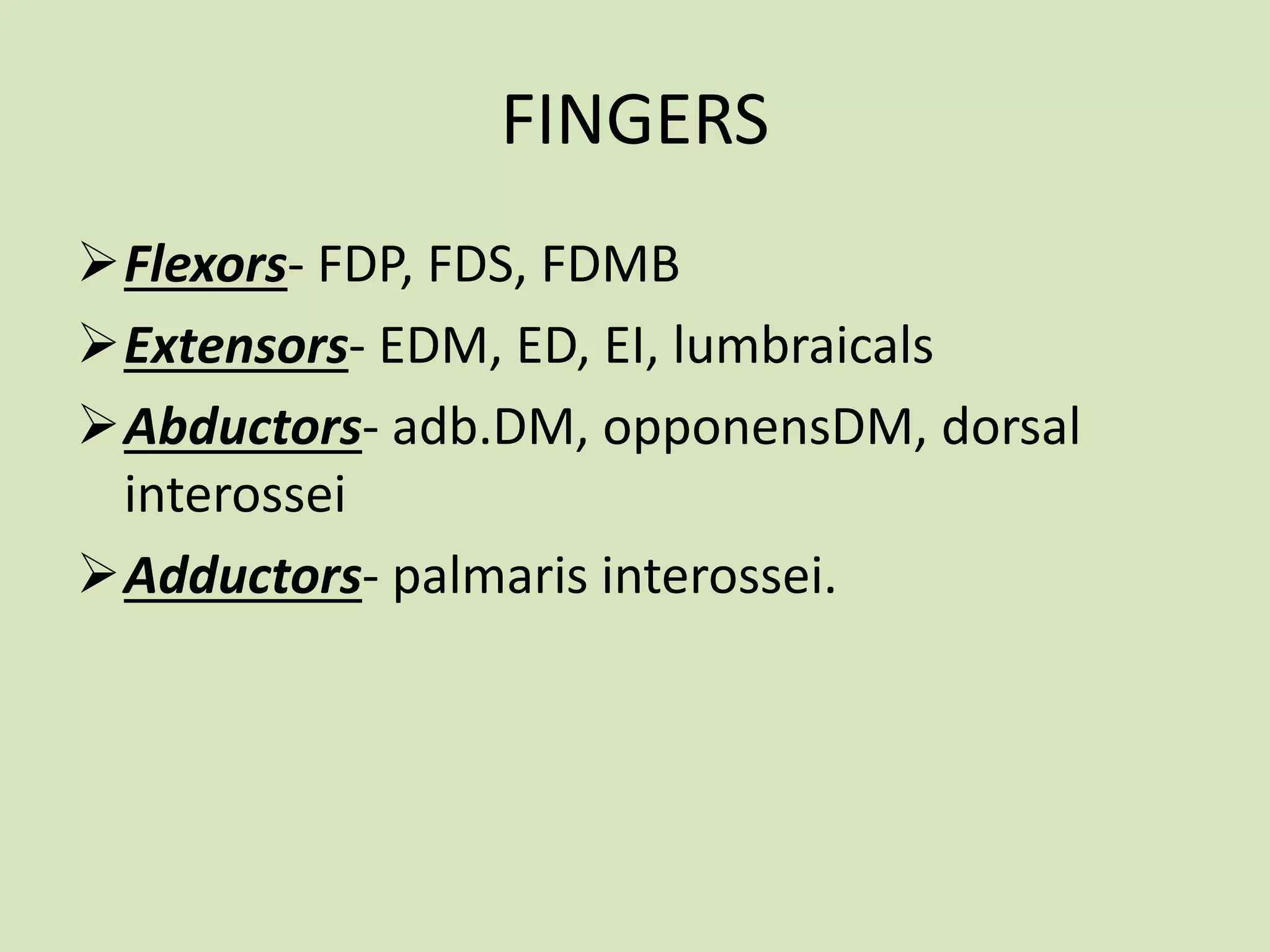 FINGERS
Flexors- FDP, FDS, FDMB
Extensors- EDM, ED, EI, lumbraicals
Abductors- adb.DM, opponensDM, dorsal
interossei
Adductors- palmaris interossei.
 